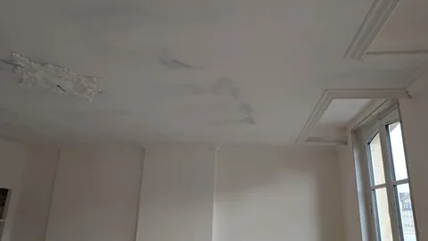Corniches et ornements de plafond anciens partiellement poncés et enduits autour d’une fenêtre.