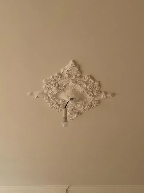 Rosace de plafond blanche à motifs de coquille, feuillages et fleurs autour d'une ampoule provisoire.